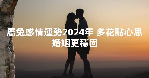 屬兔感情運勢2024年 多花點心思婚姻更穩固